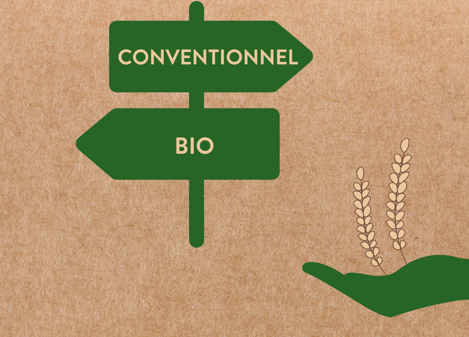 Pourquoi j’ai choisi de ne pas aller vers la certification bio… pour le moment