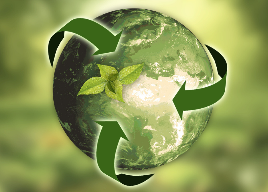 Le développement durable en plein cœur des pratiques de La Fabrique Gourmande
